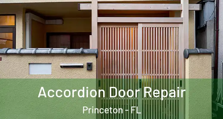  Accordion Door Repair Princeton - FL