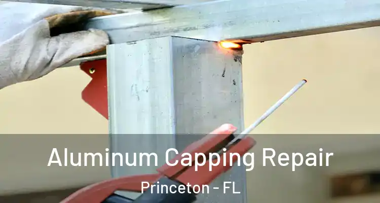  Aluminum Capping Repair Princeton - FL