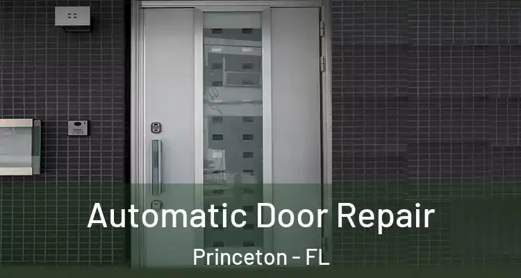  Automatic Door Repair Princeton - FL