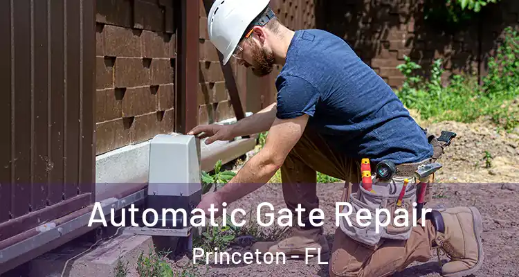  Automatic Gate Repair Princeton - FL
