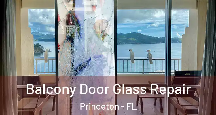  Balcony Door Glass Repair Princeton - FL