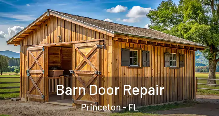  Barn Door Repair Princeton - FL