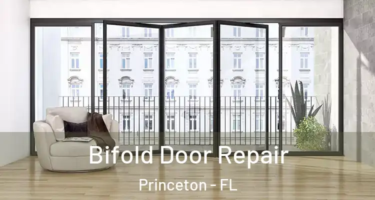  Bifold Door Repair Princeton - FL