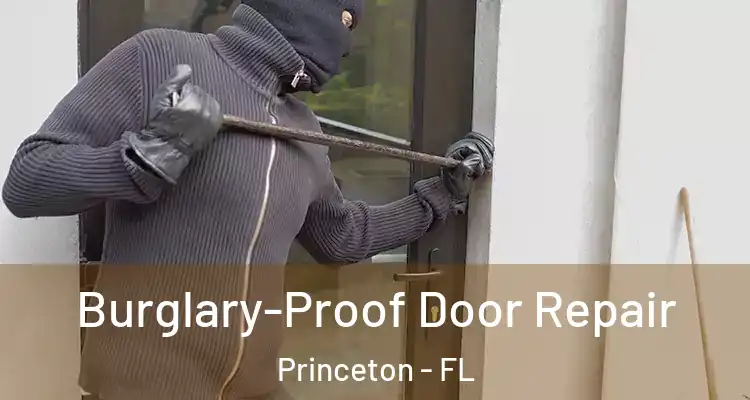  Burglary-Proof Door Repair Princeton - FL