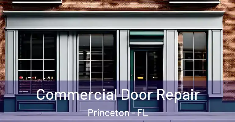  Commercial Door Repair Princeton - FL