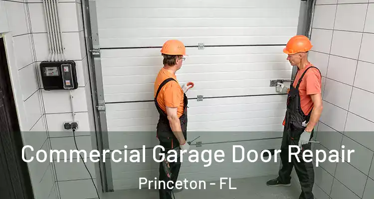  Commercial Garage Door Repair Princeton - FL