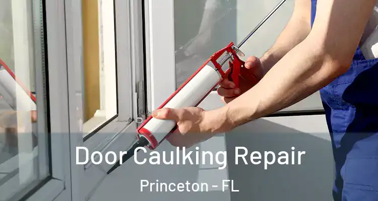  Door Caulking Repair Princeton - FL