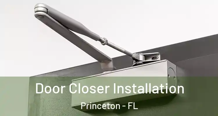  Door Closer Installation Princeton - FL