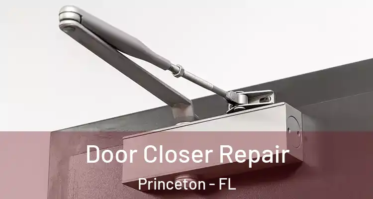  Door Closer Repair Princeton - FL