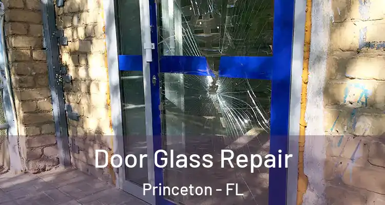  Door Glass Repair Princeton - FL