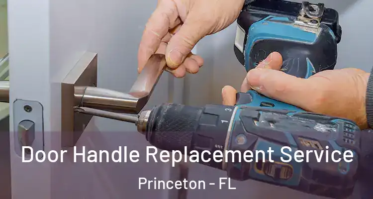  Door Handle Replacement Service Princeton - FL