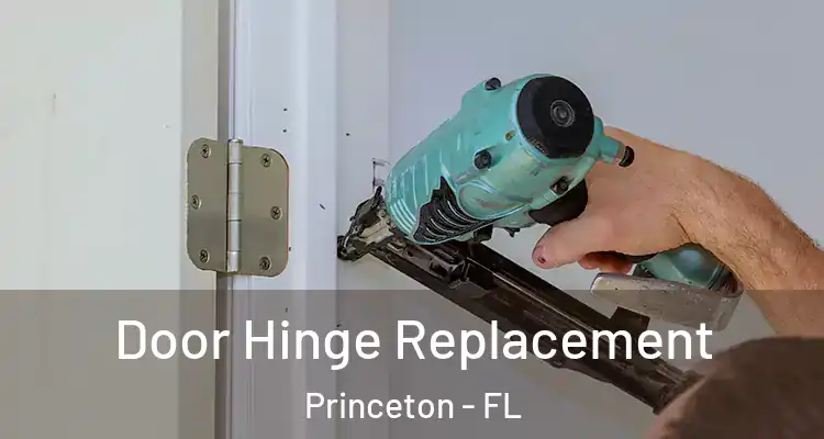  Door Hinge Replacement Princeton - FL