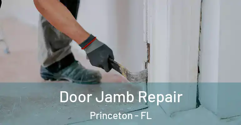  Door Jamb Repair Princeton - FL