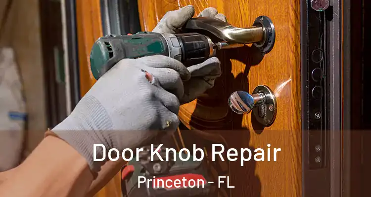  Door Knob Repair Princeton - FL