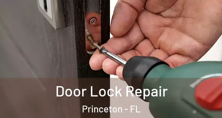  Door Lock Repair Princeton - FL