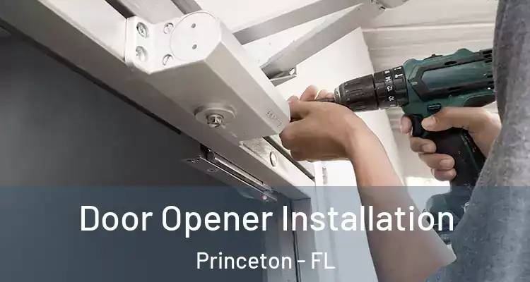 Door Opener Installation Princeton - FL