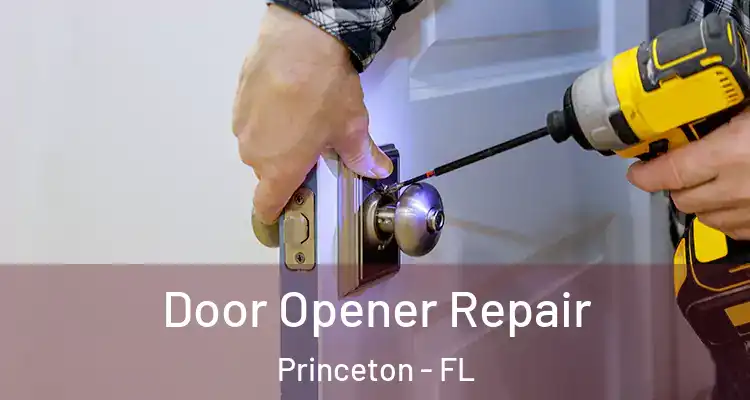  Door Opener Repair Princeton - FL