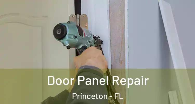  Door Panel Repair Princeton - FL