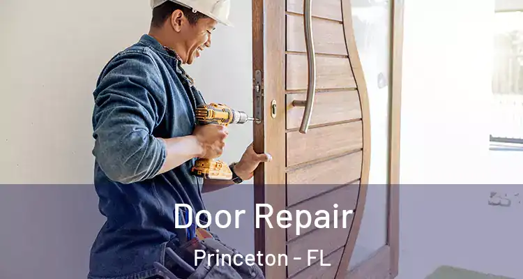  Door Repair Princeton - FL