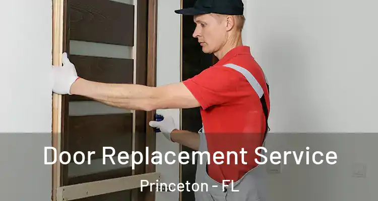  Door Replacement Service Princeton - FL