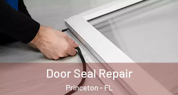  Door Seal Repair Princeton - FL