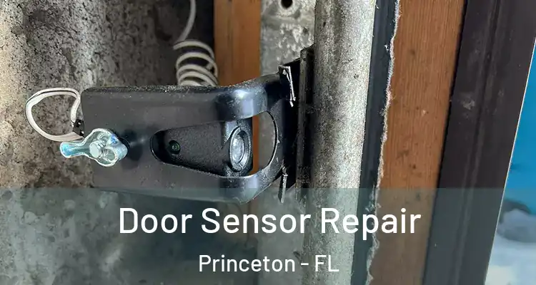  Door Sensor Repair Princeton - FL
