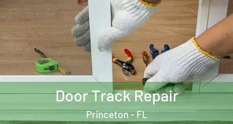  Door Track Repair Princeton - FL