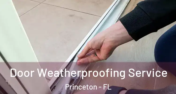  Door Weatherproofing Service Princeton - FL