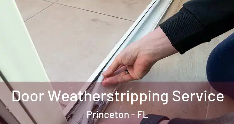  Door Weatherstripping Service Princeton - FL