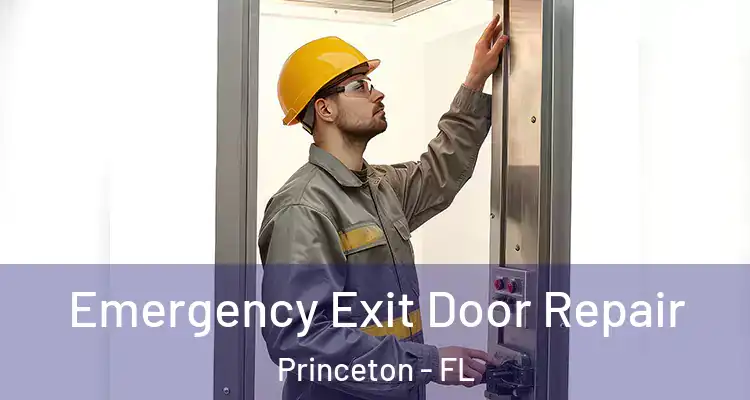  Emergency Exit Door Repair Princeton - FL
