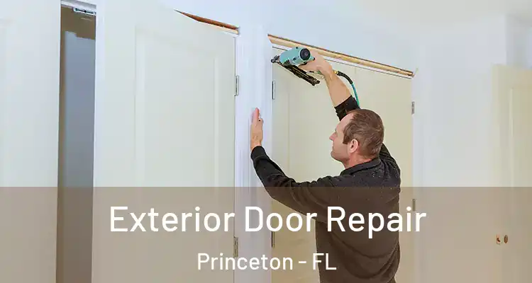  Exterior Door Repair Princeton - FL
