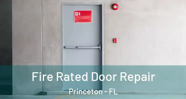 Fire Rated Door Repair Princeton - FL