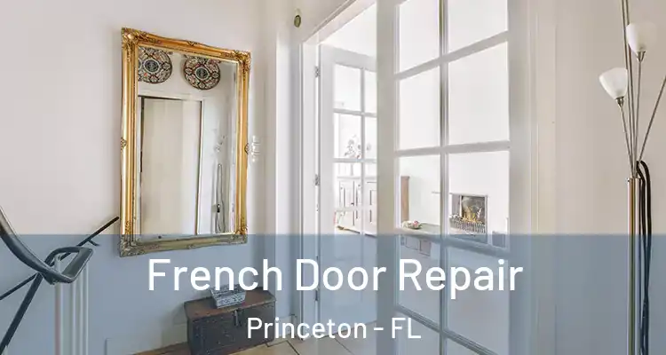  French Door Repair Princeton - FL