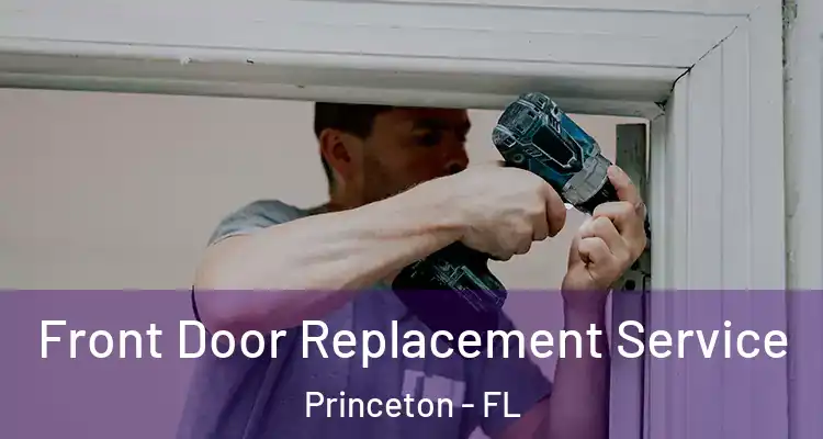  Front Door Replacement Service Princeton - FL