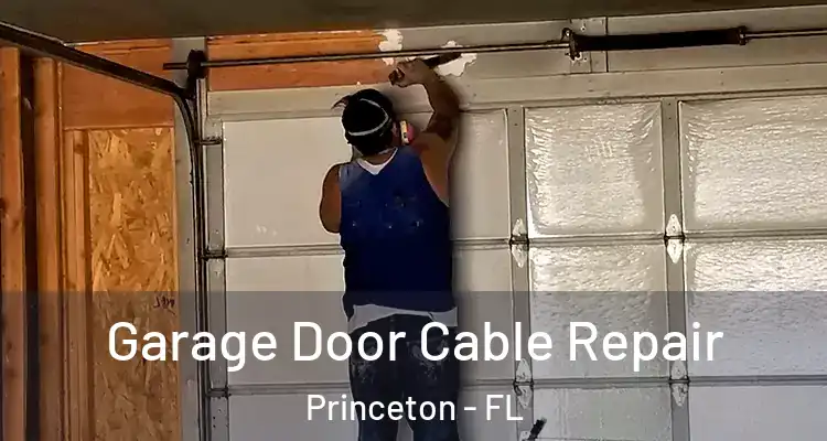  Garage Door Cable Repair Princeton - FL