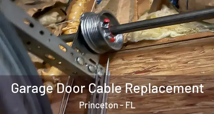  Garage Door Cable Replacement Princeton - FL
