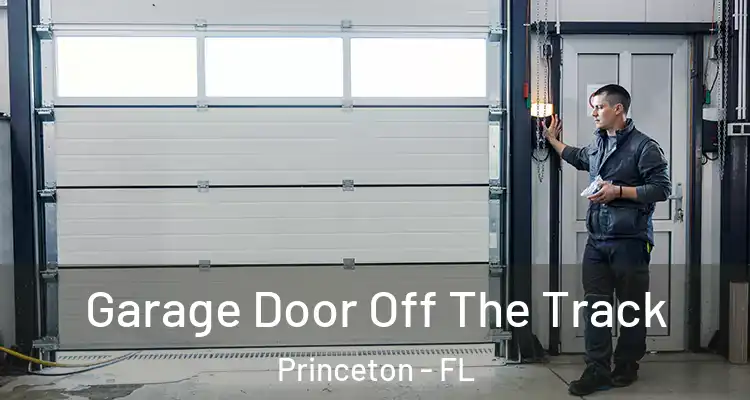  Garage Door Off The Track Princeton - FL