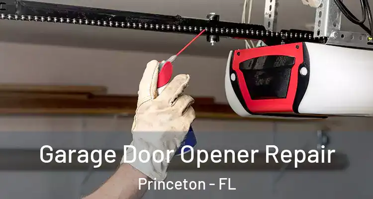  Garage Door Opener Repair Princeton - FL