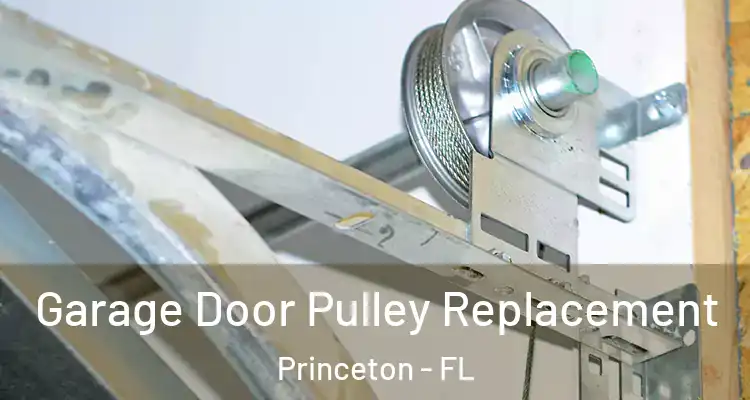  Garage Door Pulley Replacement Princeton - FL