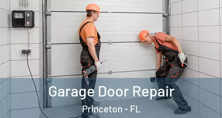  Garage Door Repair Princeton - FL