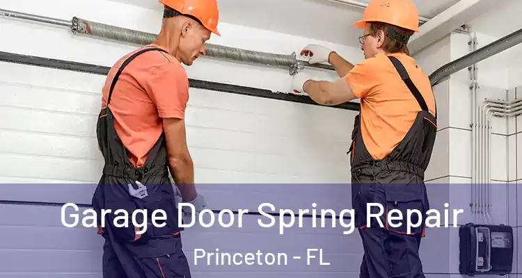  Garage Door Spring Repair Princeton - FL