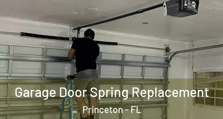  Garage Door Spring Replacement Princeton - FL
