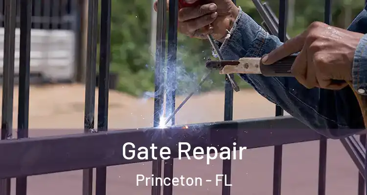  Gate Repair Princeton - FL