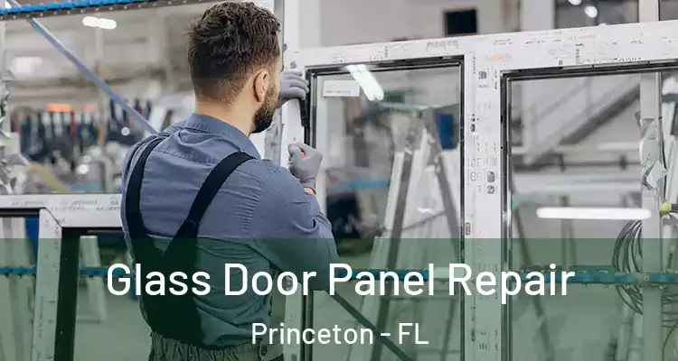  Glass Door Panel Repair Princeton - FL