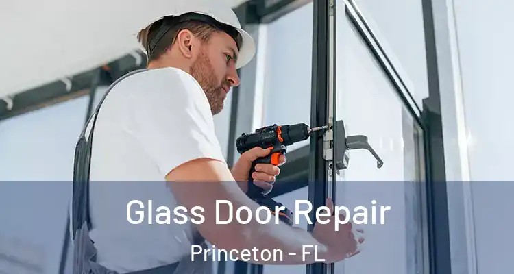  Glass Door Repair Princeton - FL