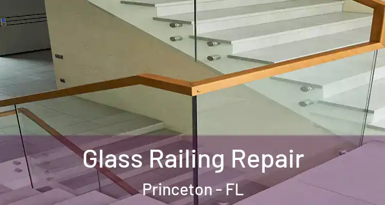  Glass Railing Repair Princeton - FL
