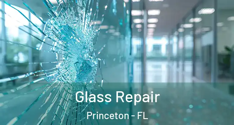  Glass Repair Princeton - FL
