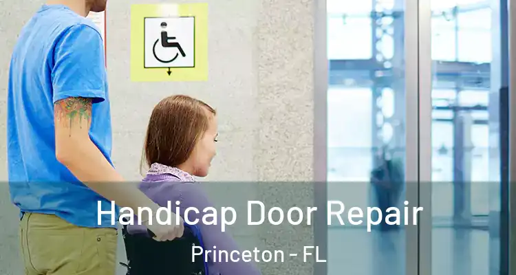  Handicap Door Repair Princeton - FL