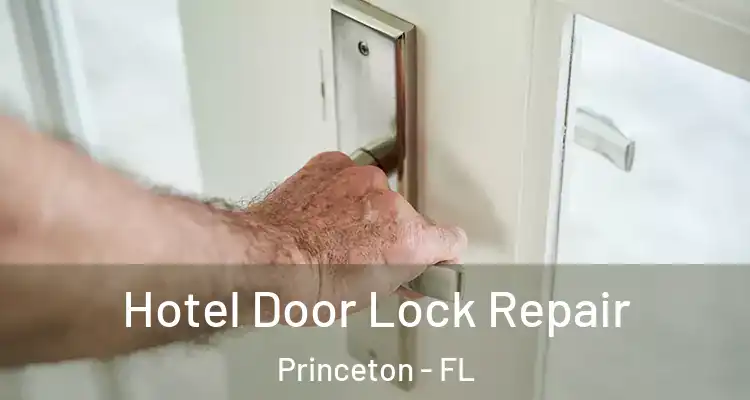  Hotel Door Lock Repair Princeton - FL