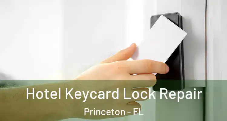  Hotel Keycard Lock Repair Princeton - FL
